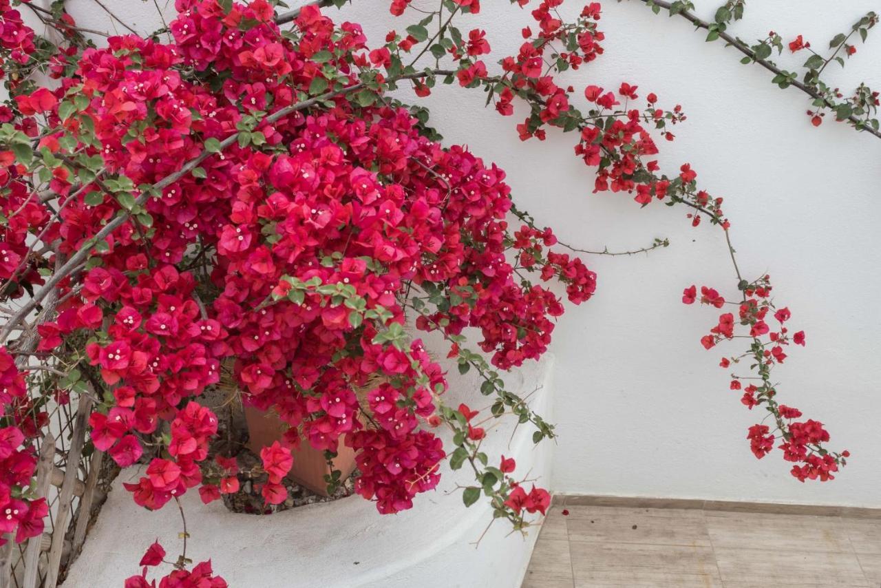 Depis Apartments & Suites Naxos City Luaran gambar